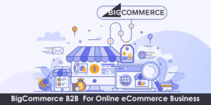 BigCommerce-B2B-online