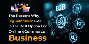 bigcommerce-b2b